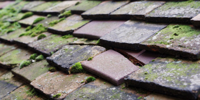 Stonea roof repair costs